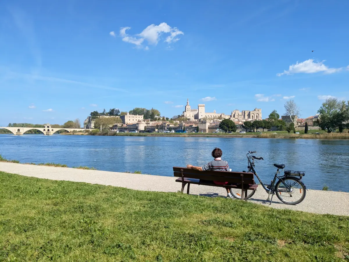 Panorama sur Avignon - Île de la Barthelasse © VF