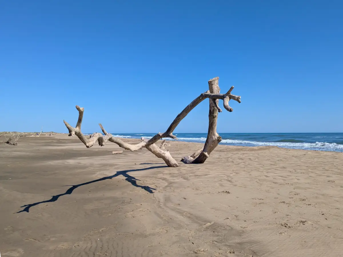 La Plage de Piémanson en Camargue © VF