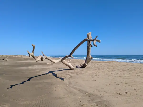 La plage de Piémanson