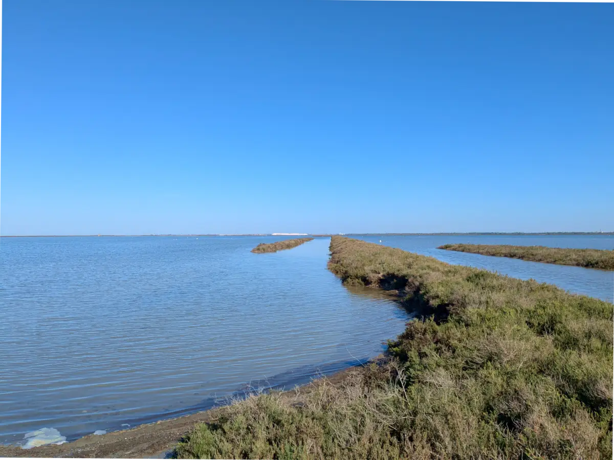 Etangs près de la plage de Piémanson © VF