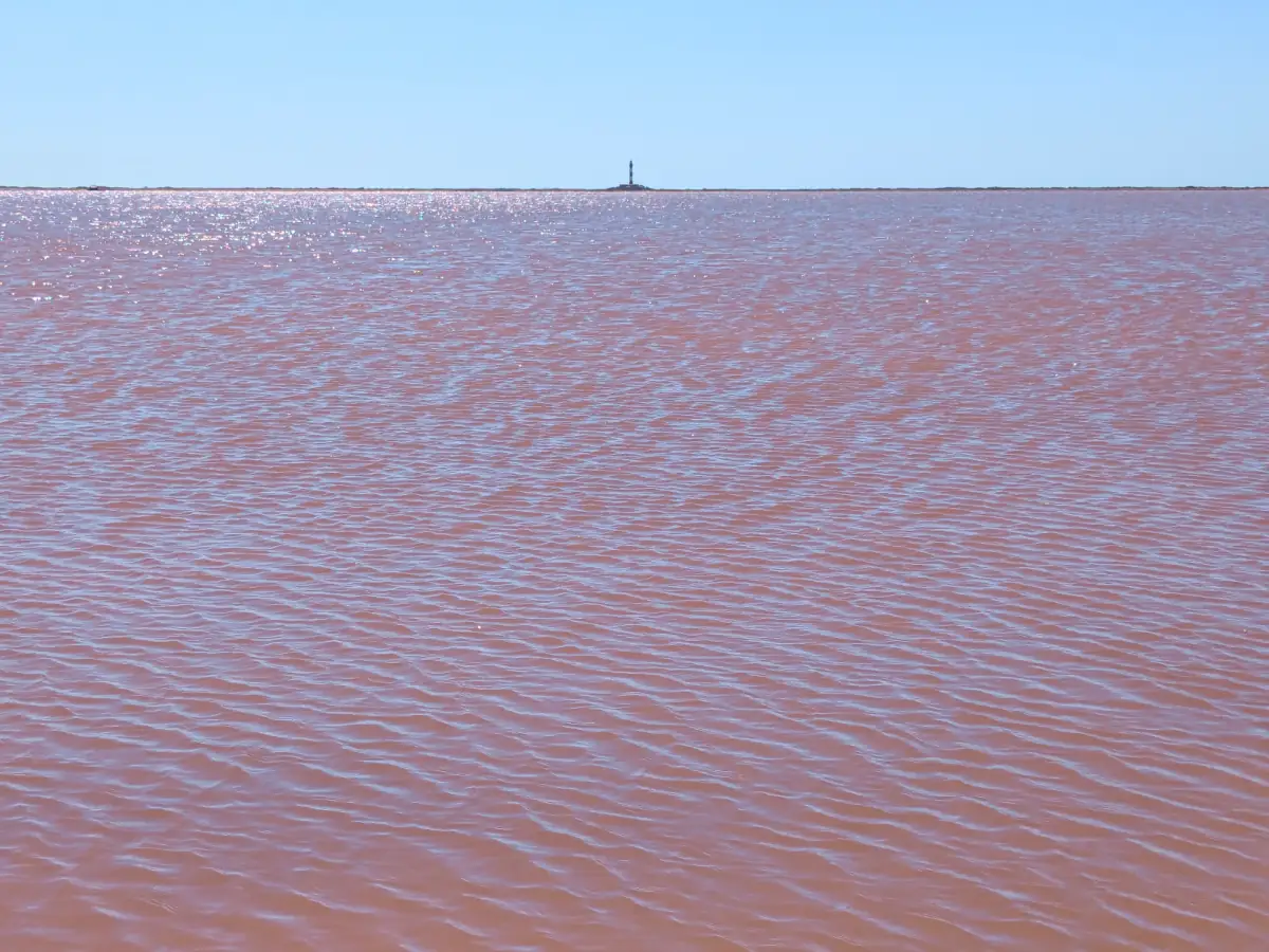 Marais salants près de la plage de Piémanson © VF