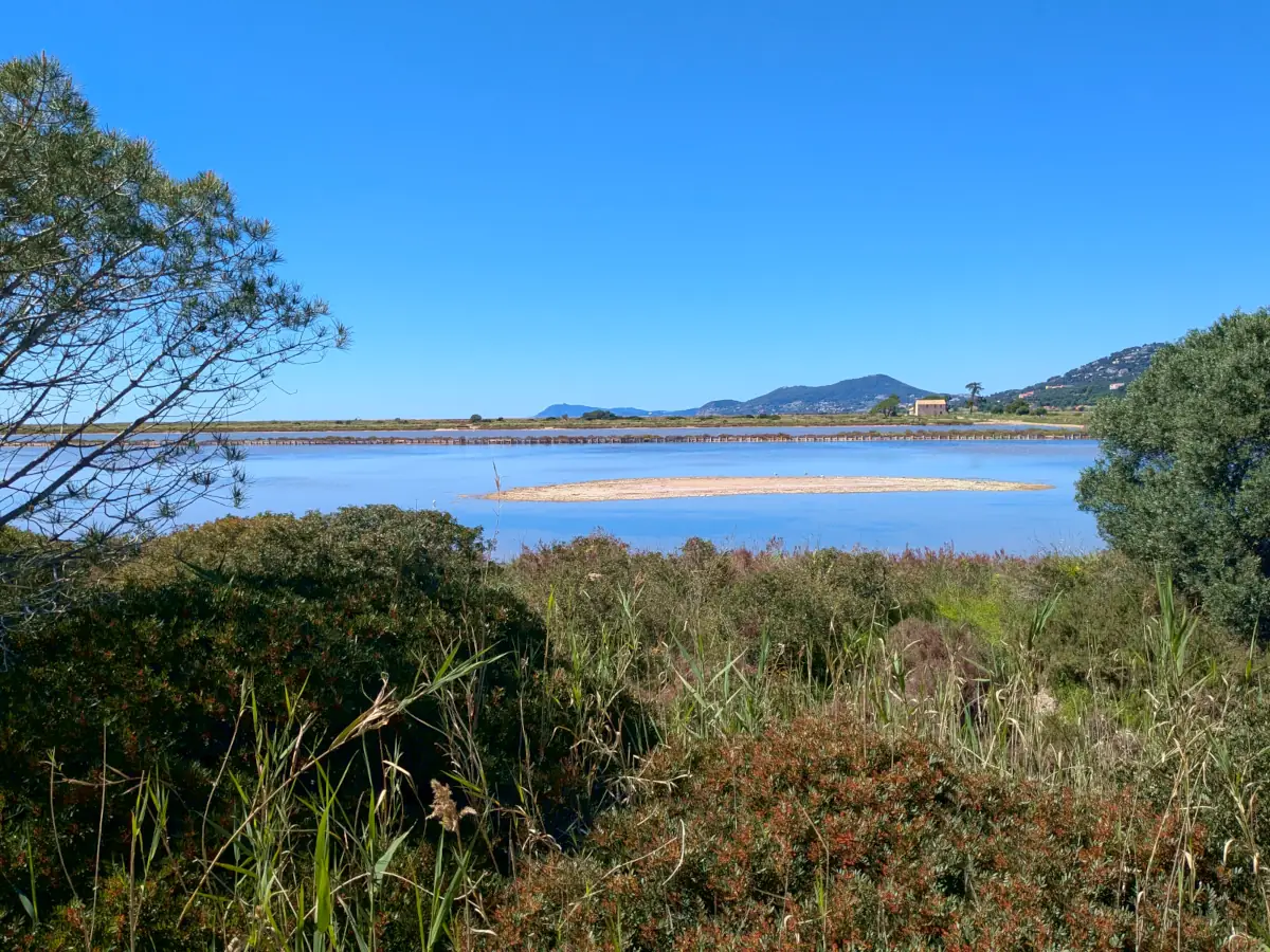 Salins des Pesquiers sur la presqu'île de Giens © VF