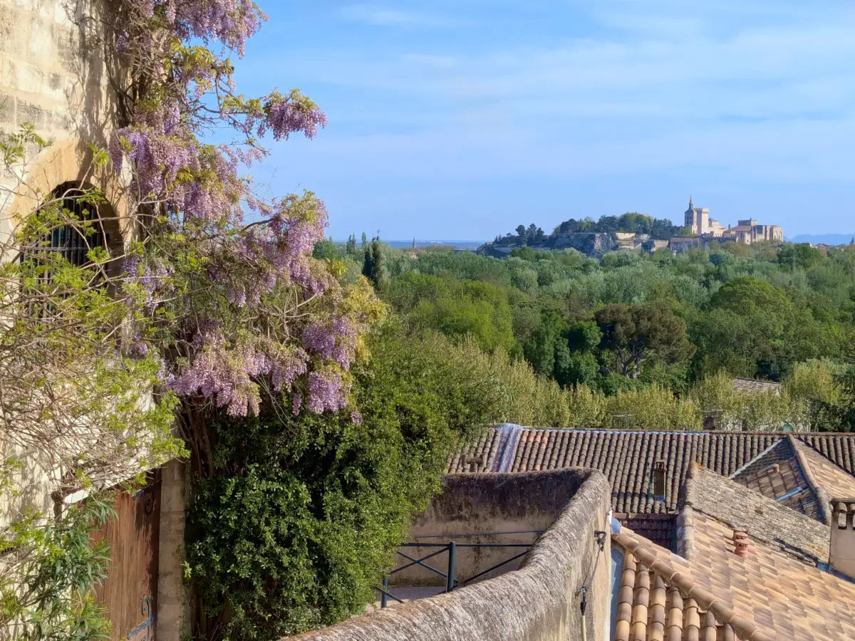 Panorama sur Avignon depuis Villeneuve © VF