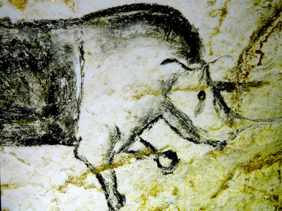 Grotte Chauvet 2 © VF