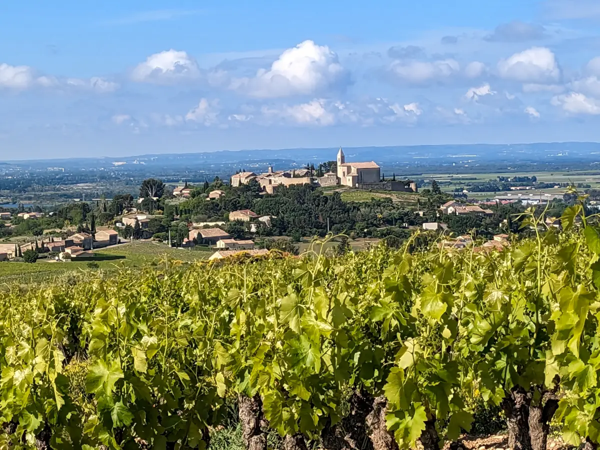 Côtes du Rhône Vineyards - Cairanne © VF