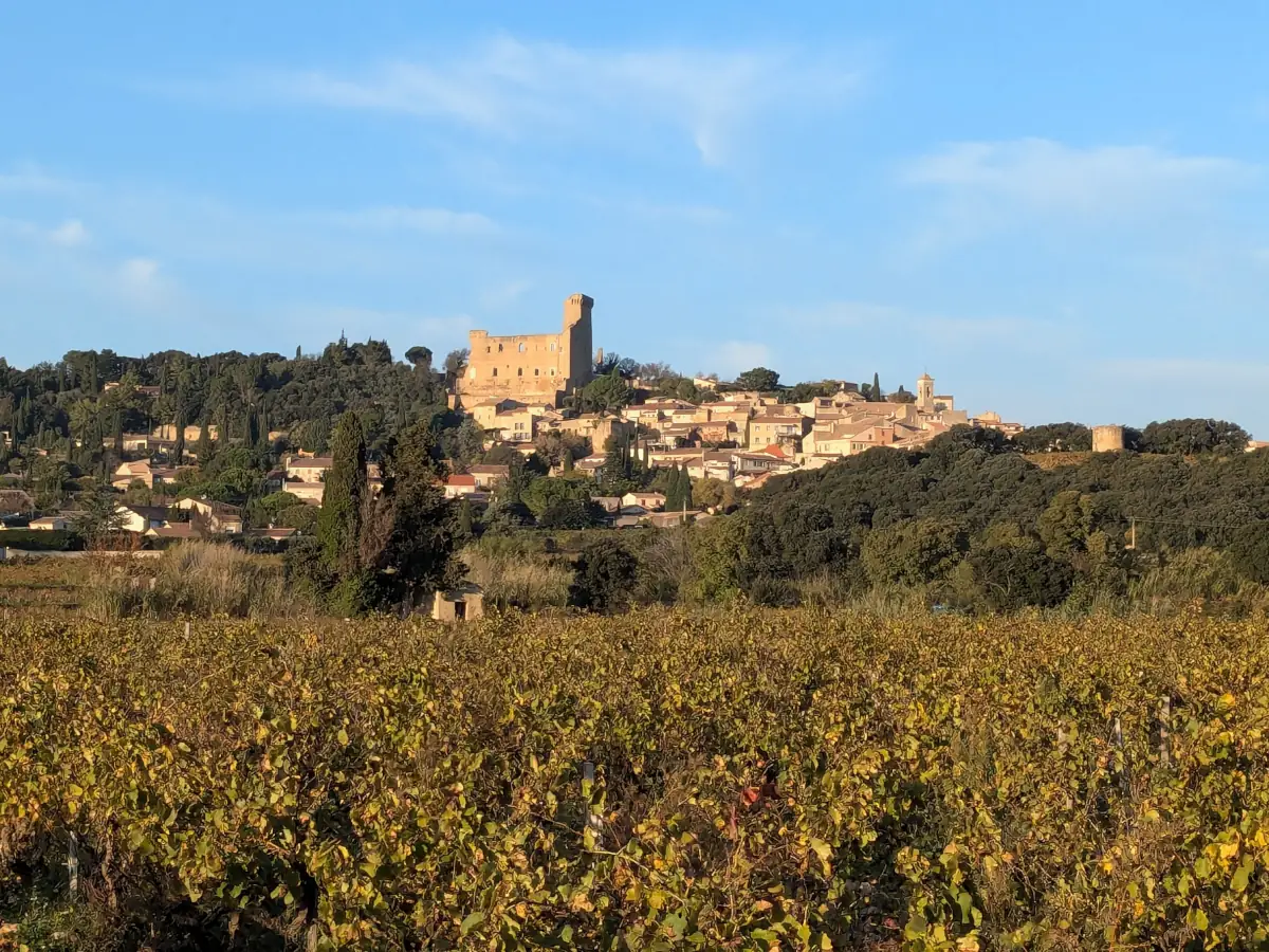 Châteauneuf du Pape © VF
