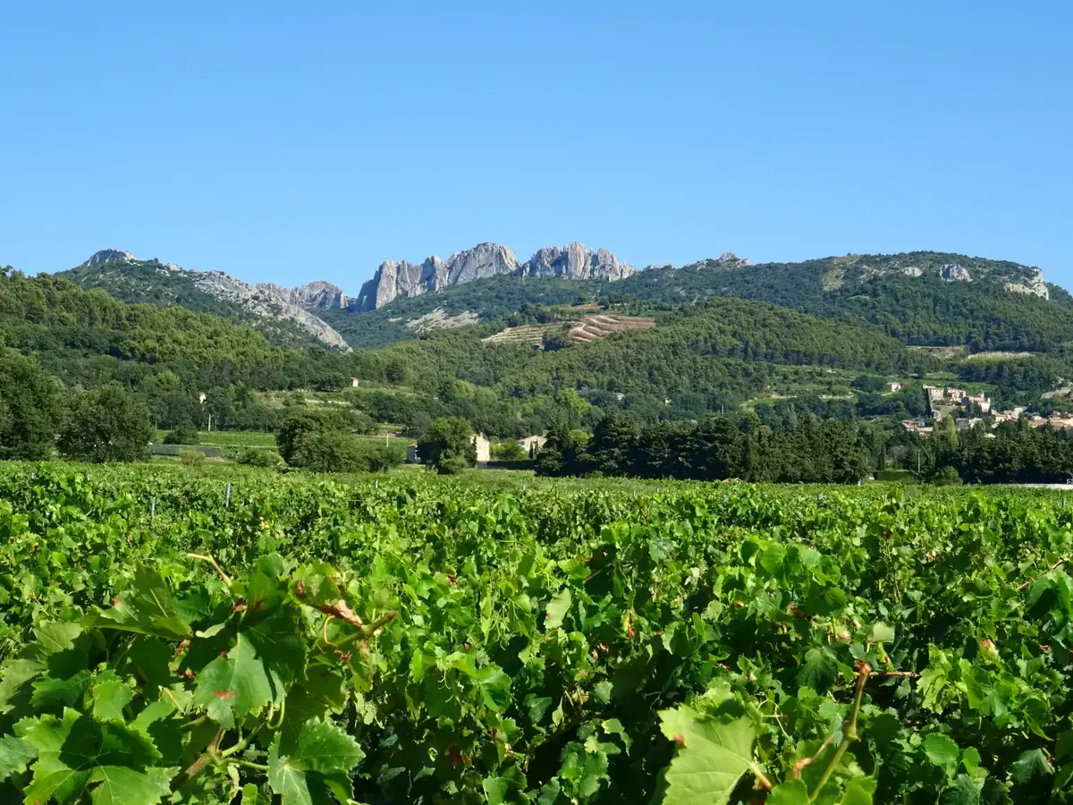 Gigondas and the Dentelles de Montmirail