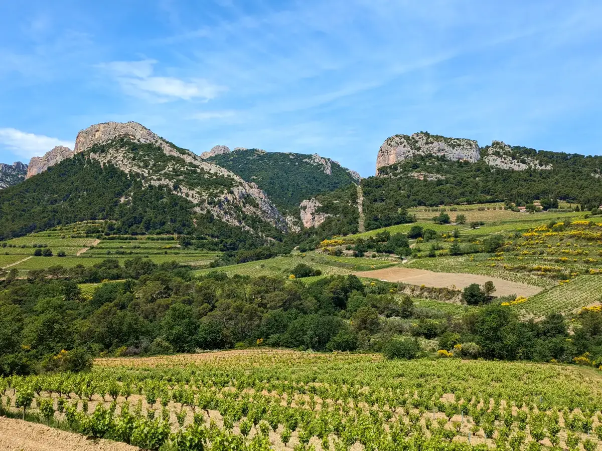Dentelles de Montmirail © VF