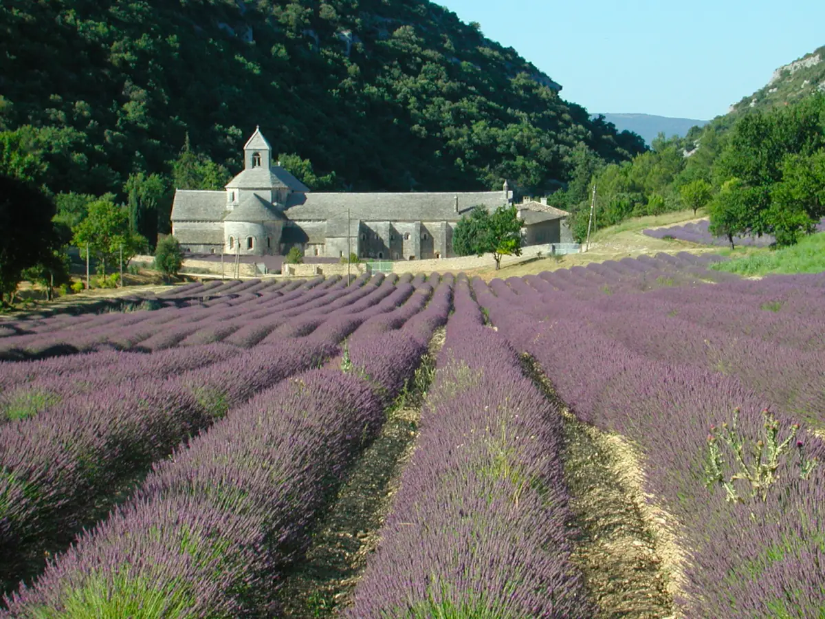 Abbey of Sénanque © VF